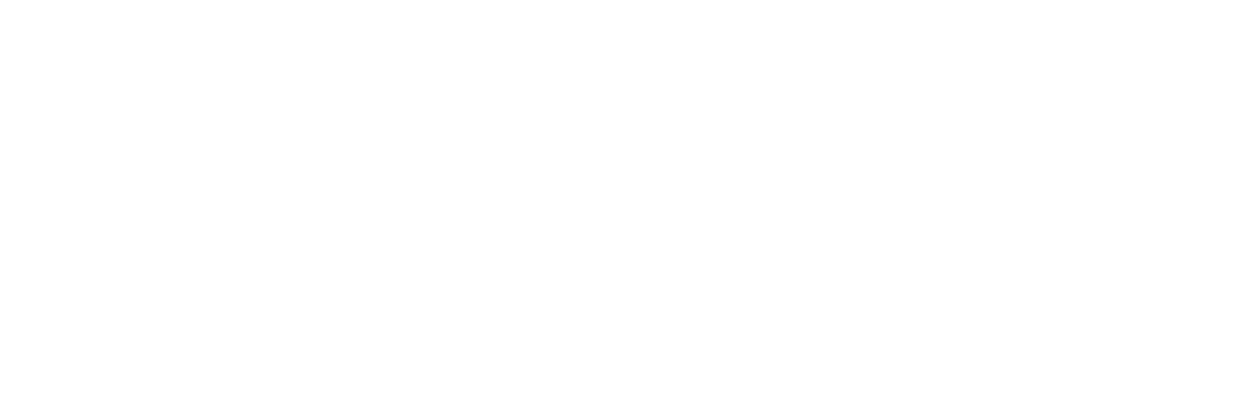 logo fianti